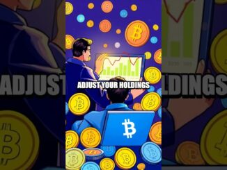 A Beginner's Guide to Crypto Portfolio Diversification
