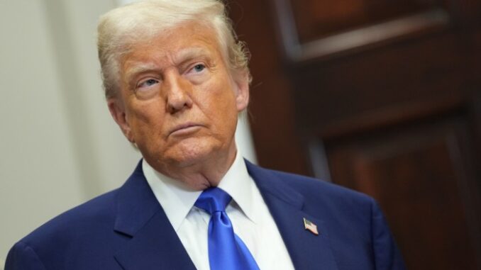 Crypto traders who won dinner with Donald Trump also made Donald Trump