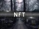 The Rise and Fall of Art NFTs