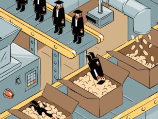The case for universities