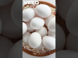 "Why Smart Chicken Farming is the Future | AI Farming for Beginners"