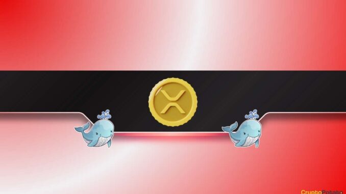 XRP Price Suddenly Drops by 5% as Ripple Whales Offload XRP Price Suddenly Drops by 5% as Ripple Whales Offload Tokens