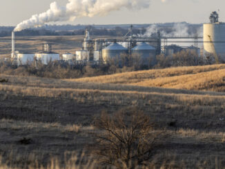 Biofuels policy has been a failure for the climate, new report claims