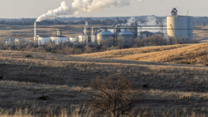 Biofuels policy has been a failure for the climate, new Biofuels policy has been a failure for the climate, new report claims