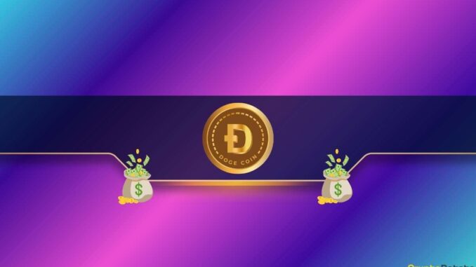 Dogecoin's (DOGE) Price Could Dump to 2025 Lows if This Dogecoin's (DOGE) Price Could Dump to 2025 Lows if This Support Fails: Analyst