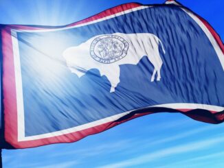 'Public Good': Wyoming Plots August Debut for WYST Stablecoin