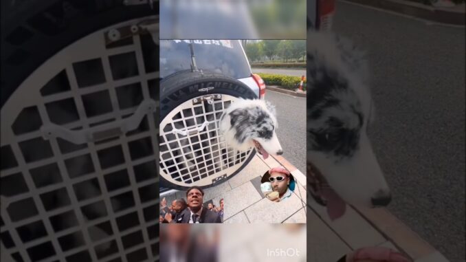 indian is not for beginners #ai #trending #youtubeshorts #viralvideo