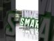 invideo ai 1080 Top 5 Passive Income Ideas for Beginners 2025 06 08