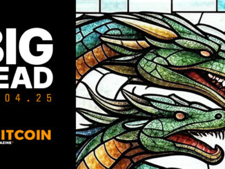 Bitcoin Treasury Companies Are Bubbles