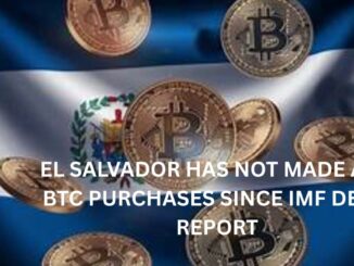 El Salvador has not made any BTC purchases since IMF deal: Report