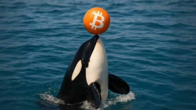 Galaxy Digital moves $447M in Bitcoin to exchanges, sparking sell-off speculation