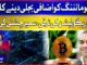 Govt May Allocate Extra Power for Crypto Mining | Samir Chishti on Crypto Regulation Growth