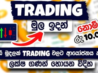 How To Invest In Cryptocurrencies For Beginners | Trading for beginners sinhala. Full Course