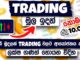 How To Invest In Cryptocurrencies For Beginners | Trading for beginners sinhala. Full Course