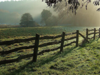 Illustrative image for article on private AI. "Fence" by foilman is licensed under CC BY-SA 2.0.