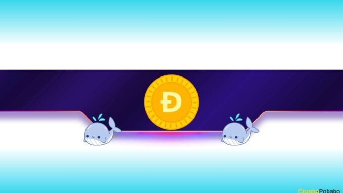 Is Dogecoin Ready to Rally After 10% Drop?