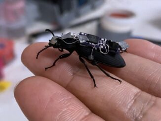 Watch: Cyborg Beetles, Open Source Humanoids, More