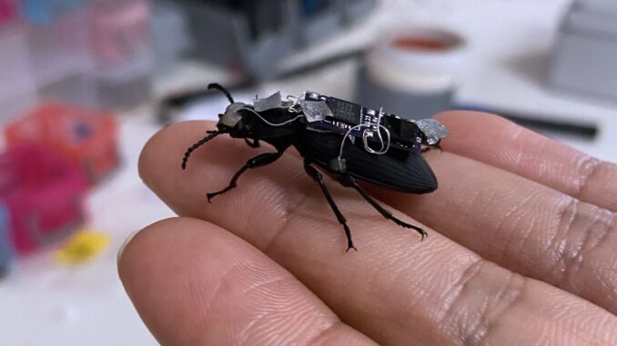Watch: Cyborg Beetles, Open Source Humanoids, More Watch: Cyborg Beetles, Open Source Humanoids, More