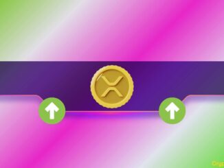 XRP Price Surges Beyond $3.3, Leaves Over $40 Million in Liquidations