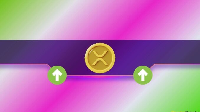 XRP Price Surges Beyond $3.3, Leaves Over $40 Million in Liquidations