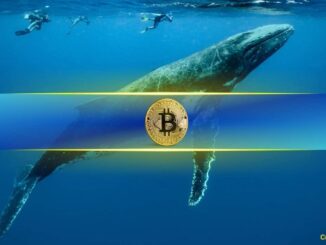 Bitcoin Whales Seize 68% of Supply After Adding 218,570 BTC