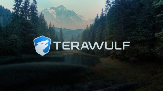 Google ups stake in Bitcoin miner TeraWulf to 14%, WULF jumps 13%