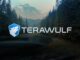 Google ups stake in Bitcoin miner TeraWulf to 14%, WULF jumps 13%
