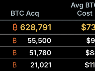 Strategy Bitcoin Purchases Ranked