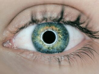 SoundHound is giving its AI the power of sight