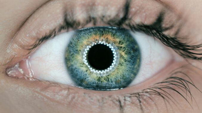 SoundHound is giving its AI the power of sight