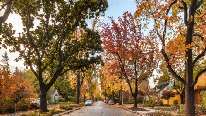 The hidden cost of living amid Mark Zuckerberg's $110M compound