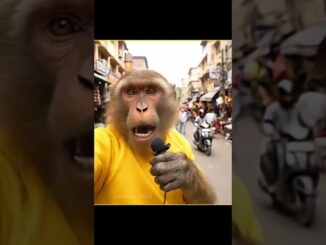 monkey ai news repotar 😂#viral#funny #ai#monkey