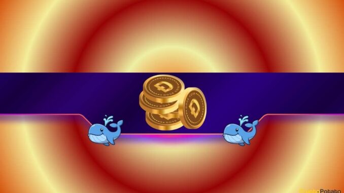 680,000,000 DOGE Offloaded in 4 Days: What Are Whales Signaling?