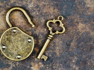 APT, SOL, TRUMP Lead the Pack