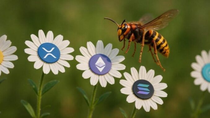 Cyber Hornet files for ETFs blending S&P 500 with Ether, XRP, and Solana futures