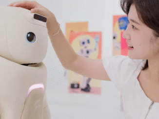 GR-3 Care-bot: The Gentle Robot Companion Experience