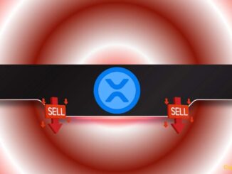 Ripple (XRP) at a Crossroads: Big Moonshot or Massive Drop?