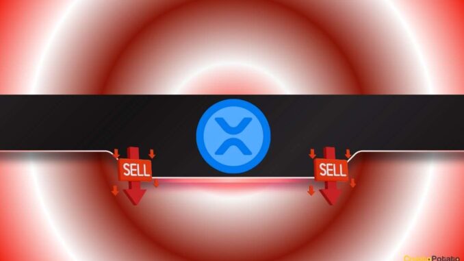 Ripple (XRP) at a Crossroads: Big Moonshot or Massive Drop?