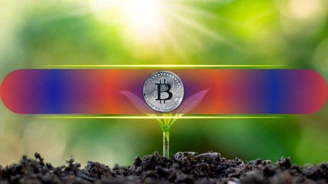 Sees Bitcoin Soaring to $200K in Q4 on Fed Policy Shift