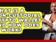 What Is A Non-custodial Crypto Wallet And How Does It Work? - CryptoBasics360.com