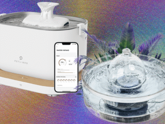 8 Best Cat Water Fountains, WIRED Tested and Reviewed (2025)