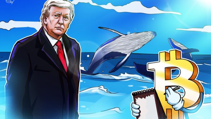 Bitcoin Whales Go Short BTC Into New Trump White House Address