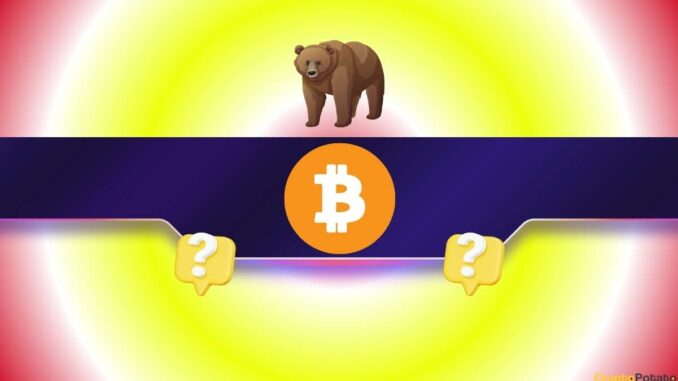 Was Yesterday's Rally to $114K a Scam Pump and What's Next for Bitcoin?