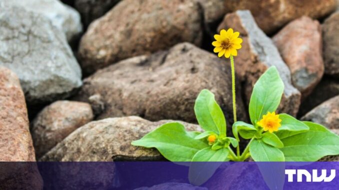 Why resilience is the most underrated metric in startup success