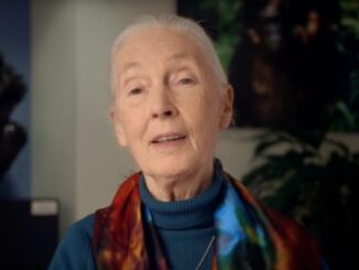 screenshot of Jane Goodall