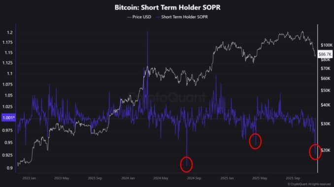 Analyst: Bitcoin Rebound Likely, But Losing $80K Risks “Much Tougher Period”