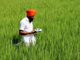 Varaha regenerative agriculture field experiment