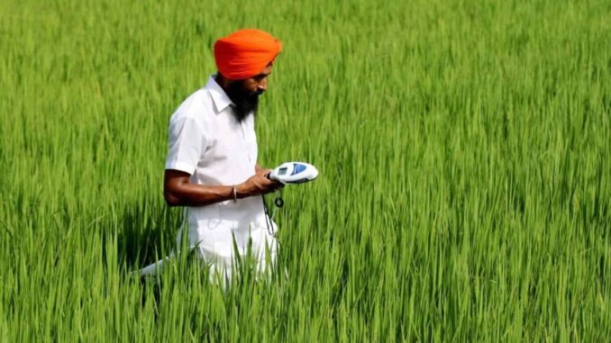 Varaha regenerative agriculture field experiment