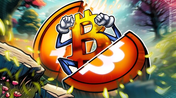 13 Years Since Bitcoin’s First Halving: Mining In 2025