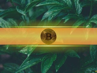 And Where Bitcoin Fits In?